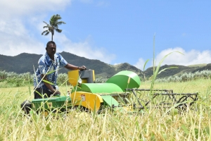Enhanced efforts to bolster and sustain rice productivity